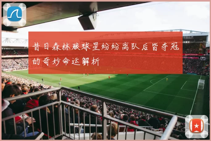昔日森林狼球星纷纷离队后皆夺冠的奇妙命运解析